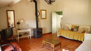 Télévision, lecteur de DVD, livres