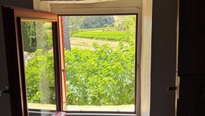 A room with a window overlooking a garden. - Spacious Provençal apartment at the heart of an organic vineyard (Vacqueyras)