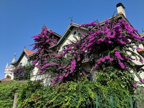 Exteriör