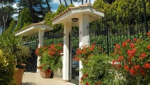 Un vialetto nel giardino con un pergolato bianco, piante fiorite rosse e alberi alti sullo sfondo.