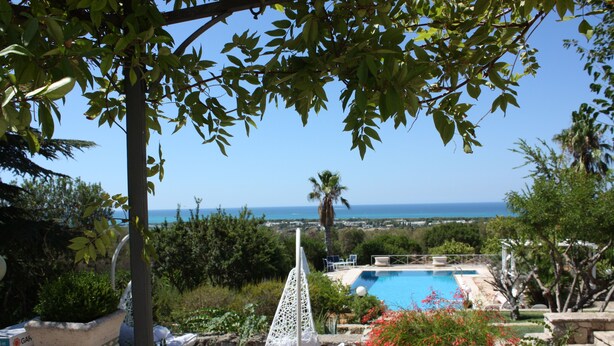 Un espace piscine avec vue sur la mer, entouré de verdure et agrémenté de plantes en pot.