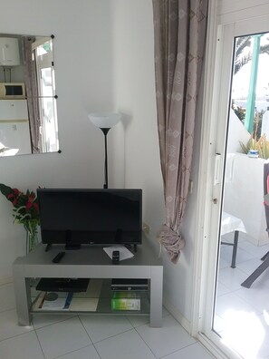 Smart TV, DVD player, books, music library