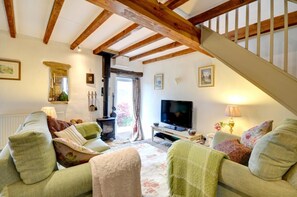 Smart TV, fireplace, DVD player, books