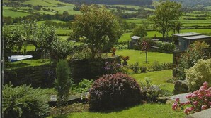 Een landelijk landschap met glooiende heuvels, groene velden en verspreide bomen.