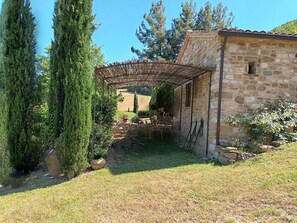 Área da propriedade