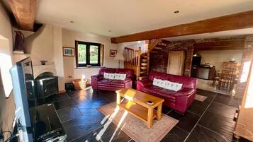 TV connectée, cheminée, lecteur de DVD, livres