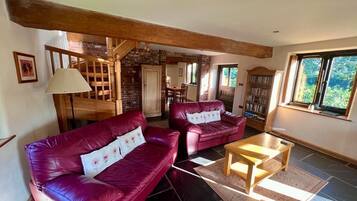 TV connectée, cheminée, lecteur de DVD, livres