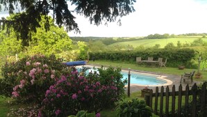 A pool surrounded by lush greenery and a wooden fence.