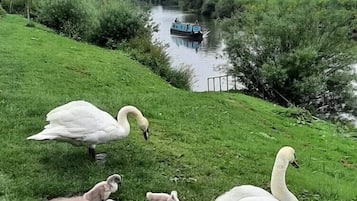 Overnatningsstedets område