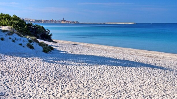 Une plage de sable offrant une vue dégagée sur la mer et sur les bâtiments d’une ville située au loin.