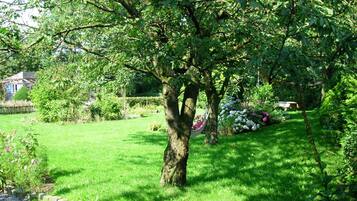 Àrea exterior de l'allotjament