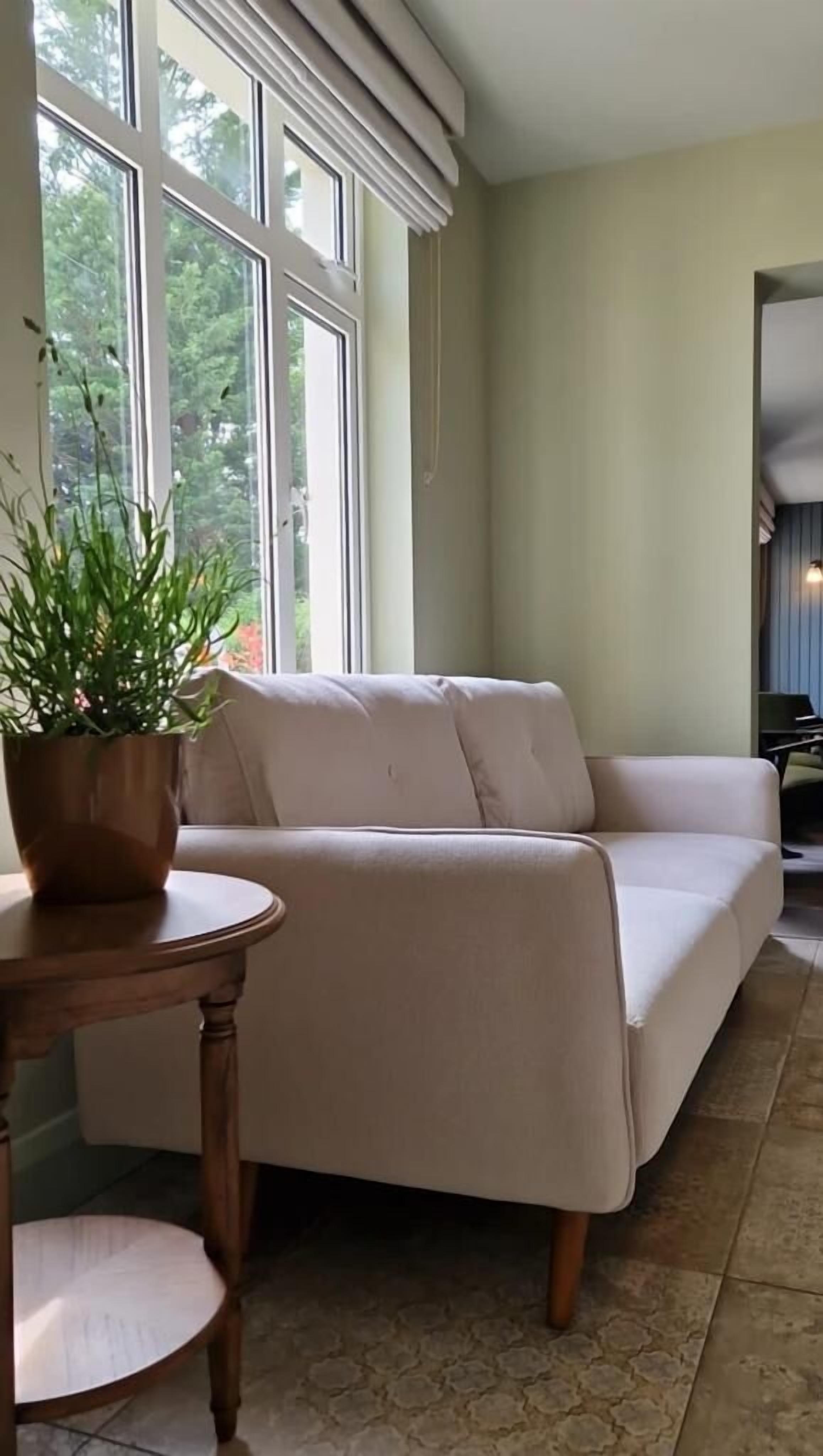 Een woonkamer met een beige bank, een houten bijzettafeltje en een potplant.