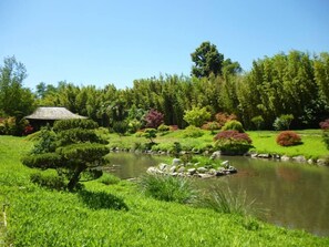 Property grounds - House / Villa - Sénéchas (Sénéchas)