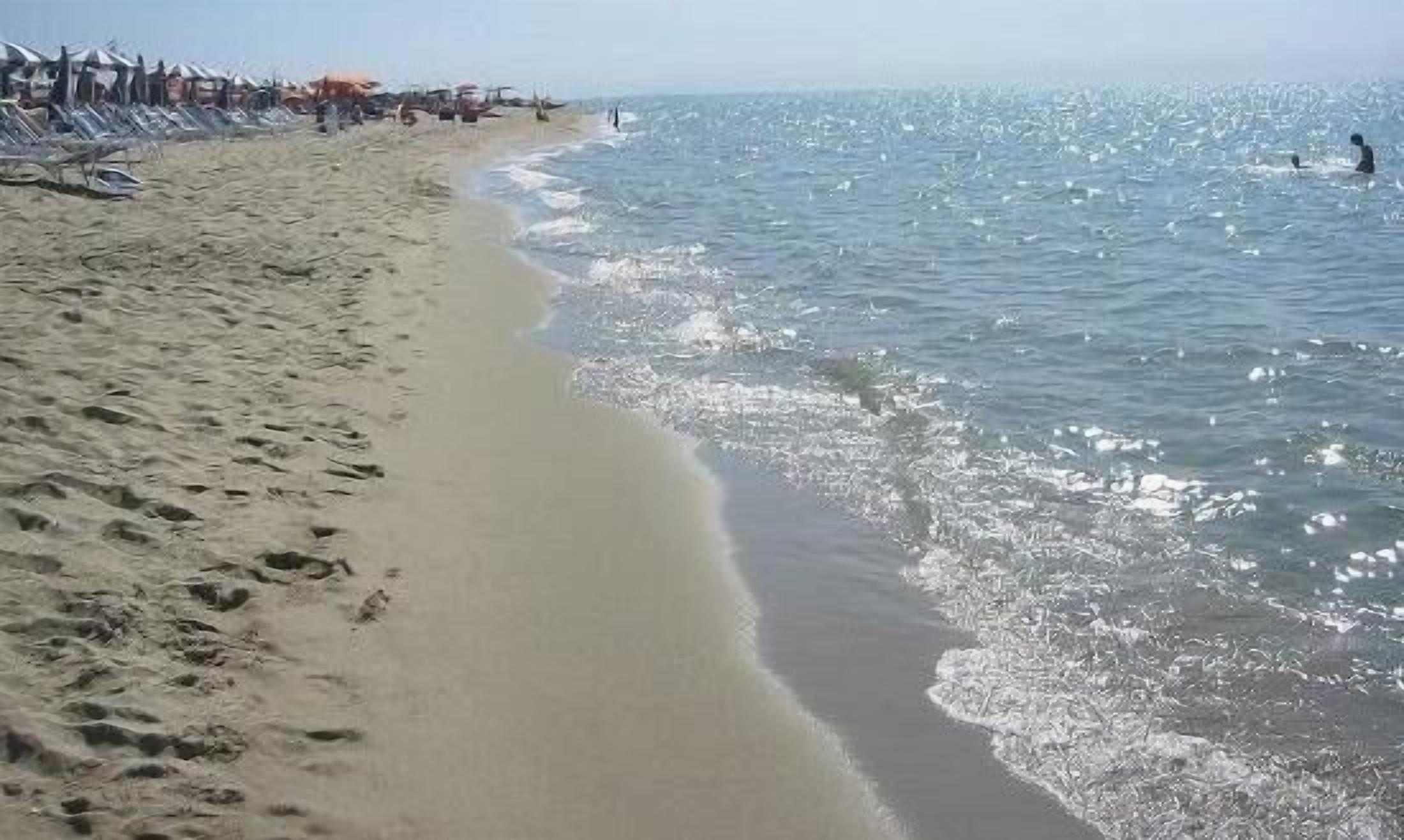 Sun loungers, beach towels