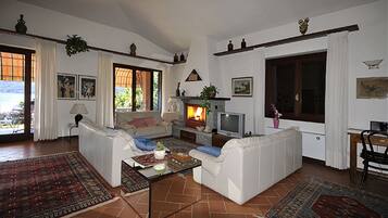 Télévision, cheminée, table de tennis de table, livres