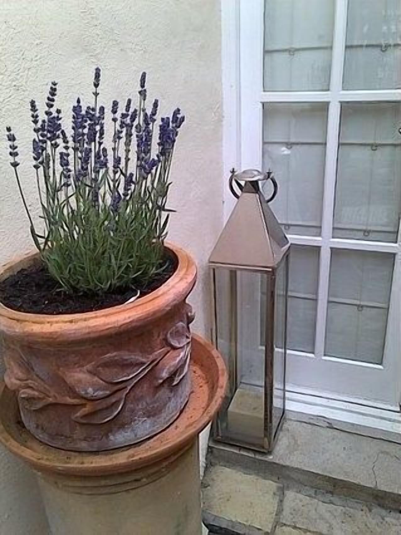 A terracotta pot with lavender plants and a lantern beside a window.