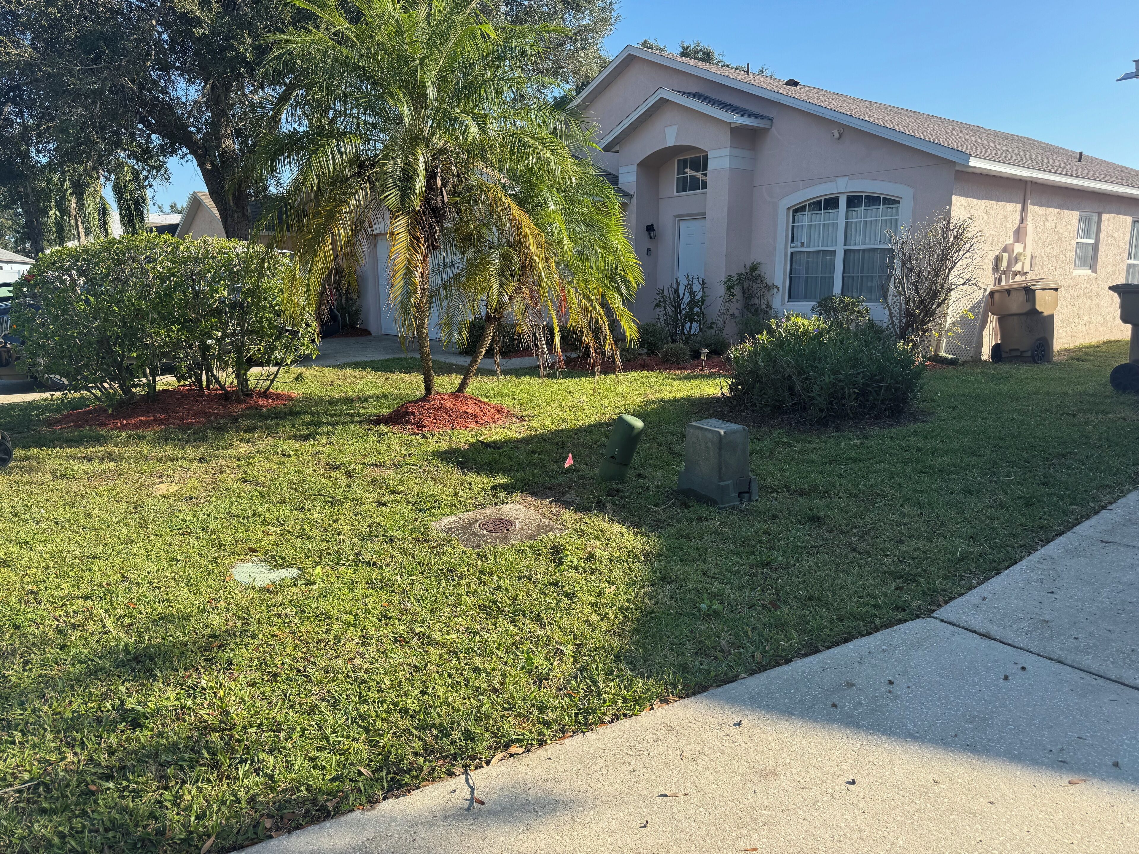 A residential property with a well-maintained lawn, a palm tree, and a house with a beige facade and large windows.