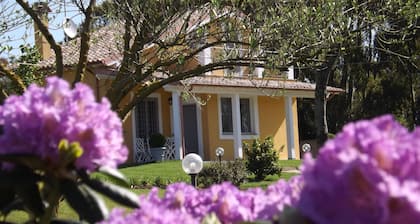 Villa 4 km. from the center of Bracciano and the lake, holiday homes approved