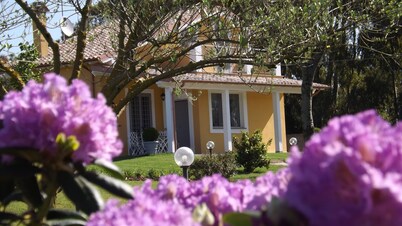 Villa 4 km. from the center of Bracciano and the lake, holiday homes approved
