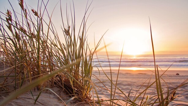A beach scene with sand and grass in the foreground and a sunset over the ocean in the background. - Stunning Romantic Cottage ★ nr Beach & Attractions ★Large Garden ★ Pet Friendly! (Chapel Saint Leonards)