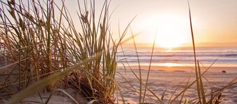 AWESOME 3-SENG FAMILIEBOTTAGE, PET VENNLIG, WIFI, FLOTT BELIGGENHET nr BEACH & SEA