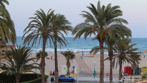 Een strand met palmbomen, een stopbord en een blauwe auto aan de kant geparkeerd.