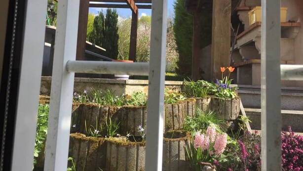 A view through a window with a wooden pergola, a stone wall with plants, and a garden with flowers. - Beautiful, luxurious farmhouse In Champagne. Only 1 Hr From Paris, Near Epernay. (Baslieux-Sous-Châtillon)