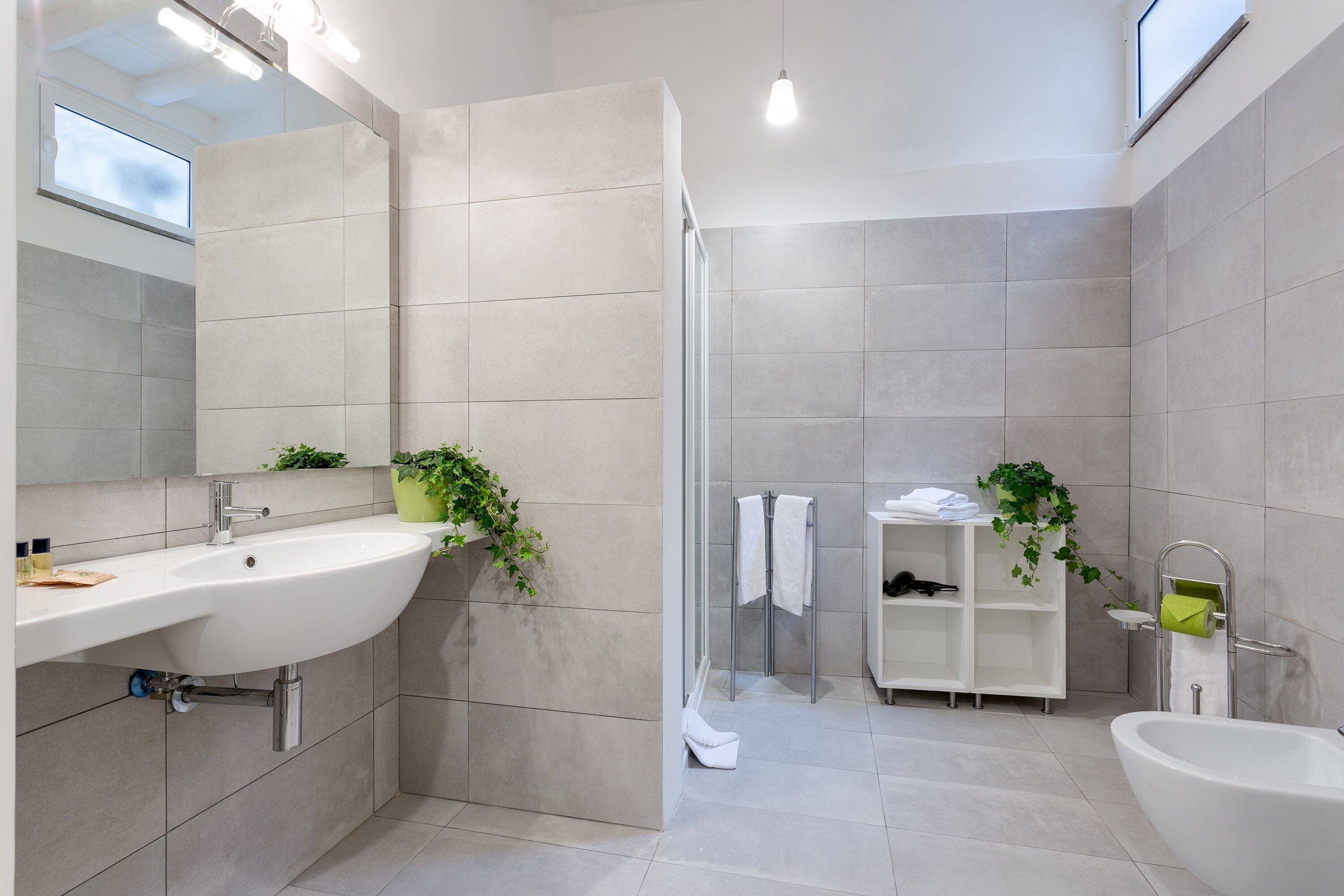 A modern bathroom with a large sink, a shower, and a bathtub. There are plants and a towel rack visible.