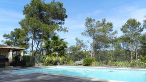 A swimming pool with a tiled deck, surrounded by trees and a small building with a tiled roof.