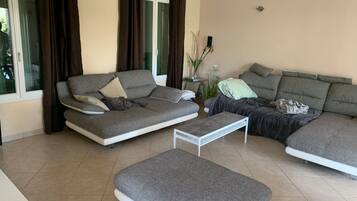 TV, fireplace, DVD player, table tennis