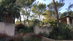 A stone staircase leading up to a house with a stone wall and a garden with various plants and flowers.