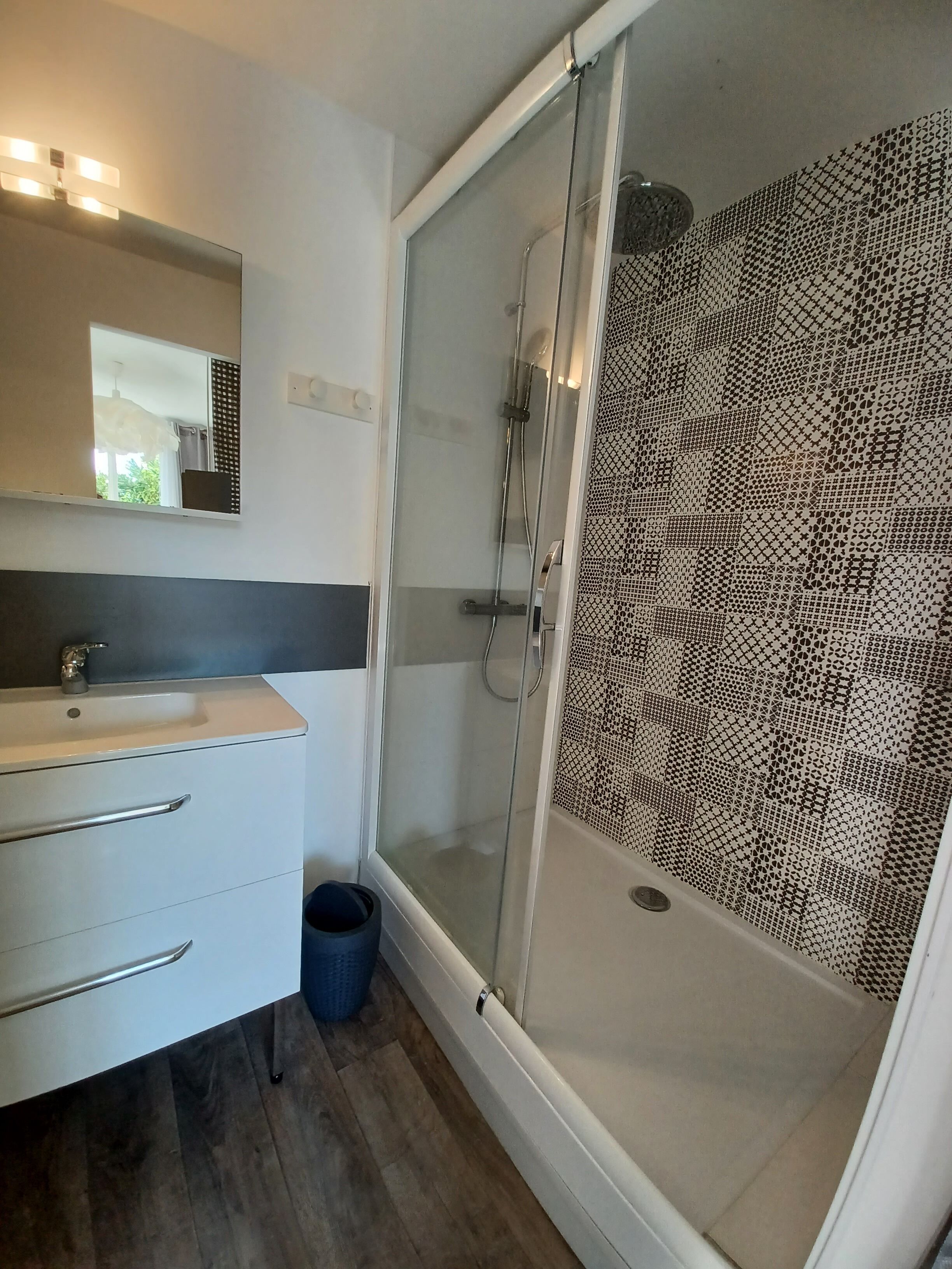 Shower, hair dryer