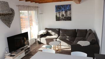 TV, DVD player, video library
