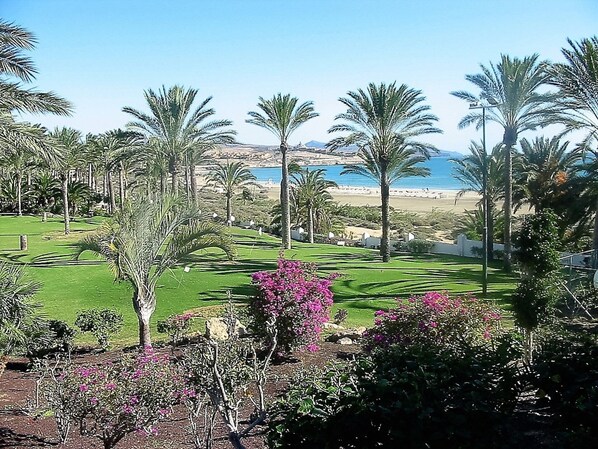 A golf course with palm trees and a view of the beach.