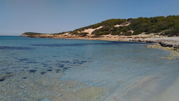 A clear beach with shallow water, a sandy shore, and a hill with dense vegetation in the background. - VILLA WITH PRIVATE GARDEN NEAR THE SEA (Porto Pino)