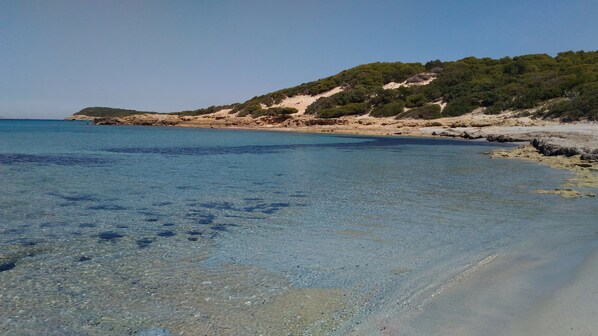 Beach nearby - VILLA WITH PRIVATE GARDEN NEAR THE SEA (Porto Pino)