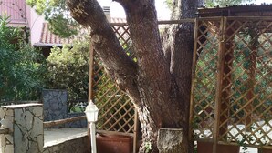 A garden area with a large tree, a stone wall, and a wooden pergola. - VILLA WITH PRIVATE GARDEN NEAR THE SEA (Porto Pino)