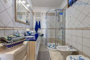 Shower, hair dryer, bidet, towels