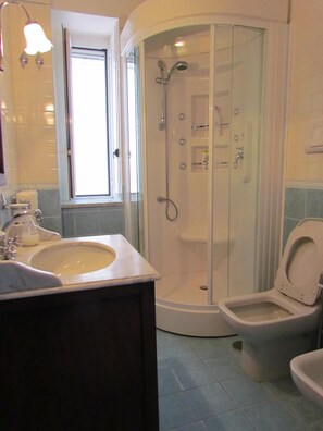 Shower, hair dryer, bidet, towels