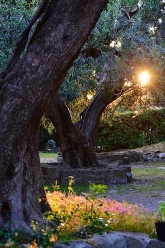 Charmant et romantique chalet à seulement 15 minutes de Rome