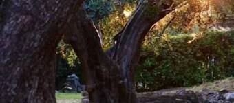 Charming and Romantic Cottage hill nearby Rome