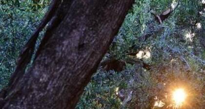 Charmant et romantique chalet Ă seulement 15 minutes de Rome