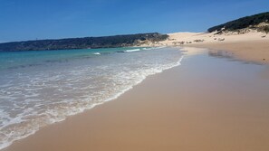Plage, chaises longues, serviettes de plage