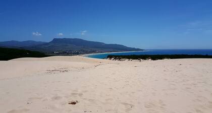 Bahia del Mar avec sa vue de rĂȘve, air conditionnĂ© ,wi-fi et piscine .