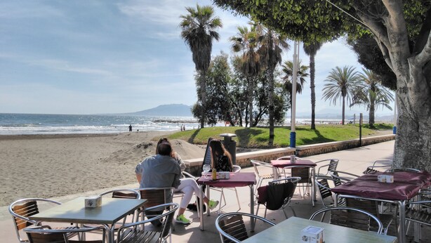 A beachside café with outdoor seating, overlooking the ocean and a grassy area with palm trees.