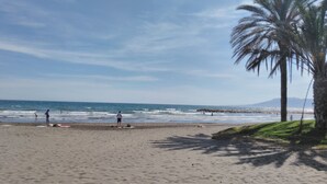 A beach with a palm tree, people, and the ocean.