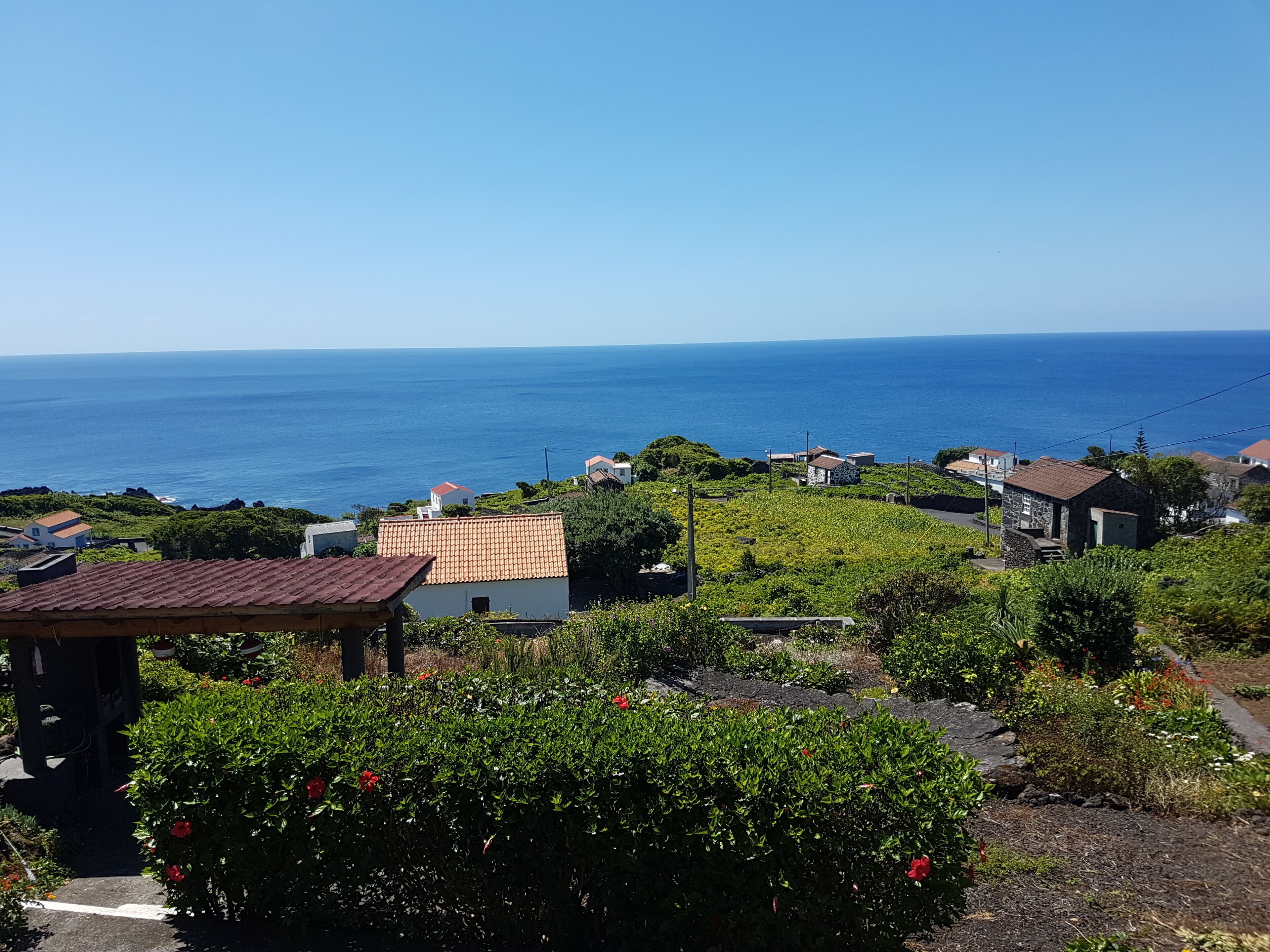 Een woongebied aan de kust met huizen, een tuin en uitzicht op zee.