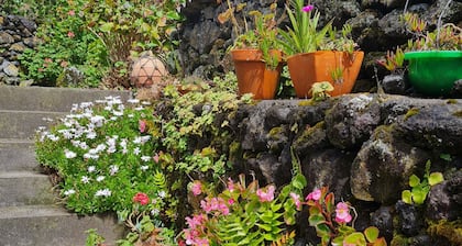 Fantastica House in the Magic Islands of Azores