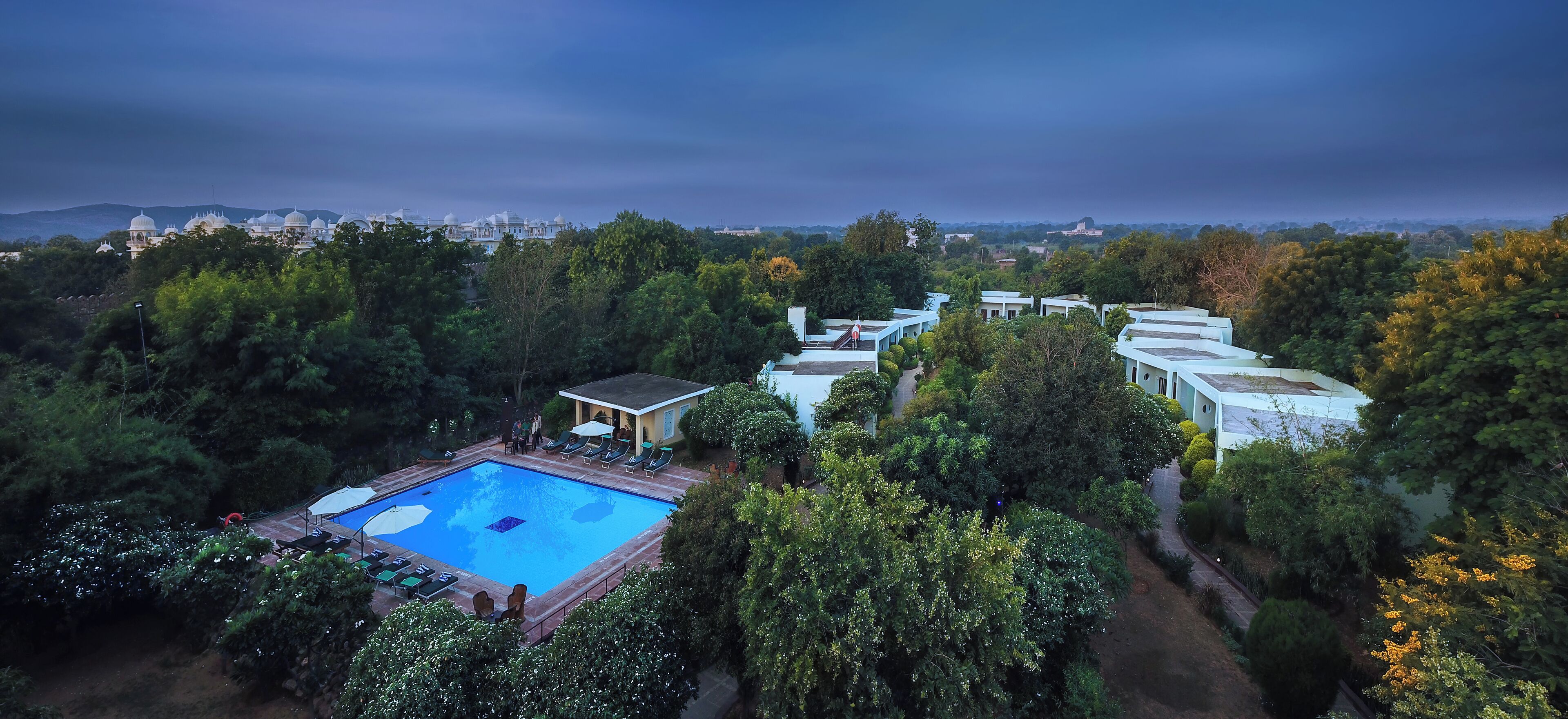 Zona de piscina con sillones de descanso, rodeada de exuberante vegetación y vistas a edificios lejanos.