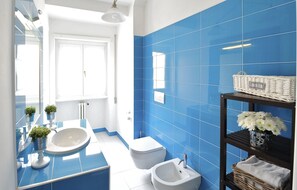 Shower, hair dryer, bidet, towels